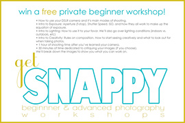 getsnappygiveawayF