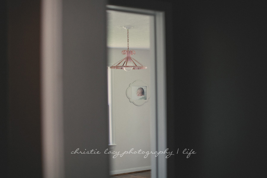 "houston family photographer"_0165