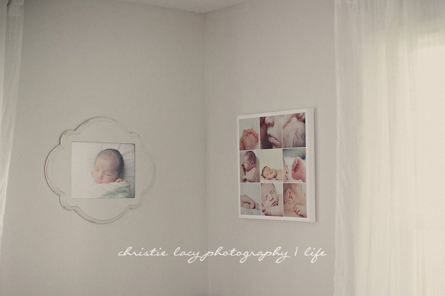 "houston family photographer"_0170