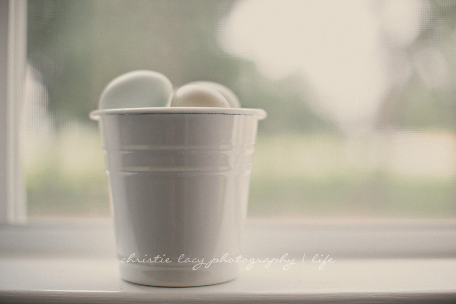 "houston family photographer"_0173