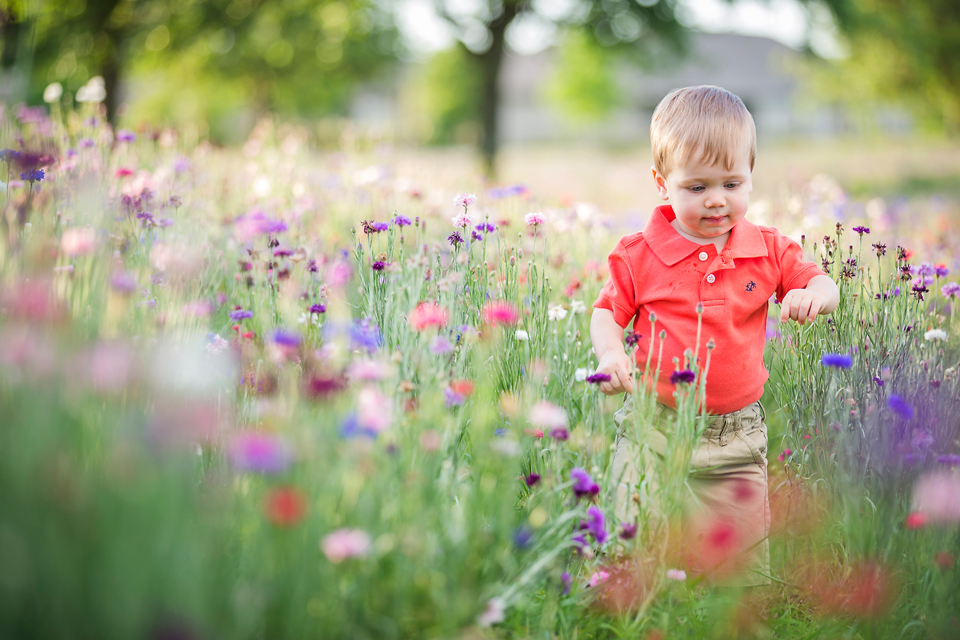 cypress family photographer