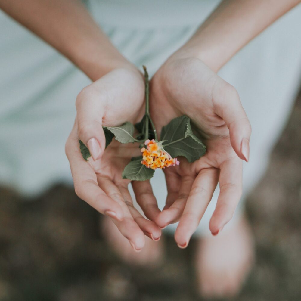 bobbo-sintes-500650-unsplash