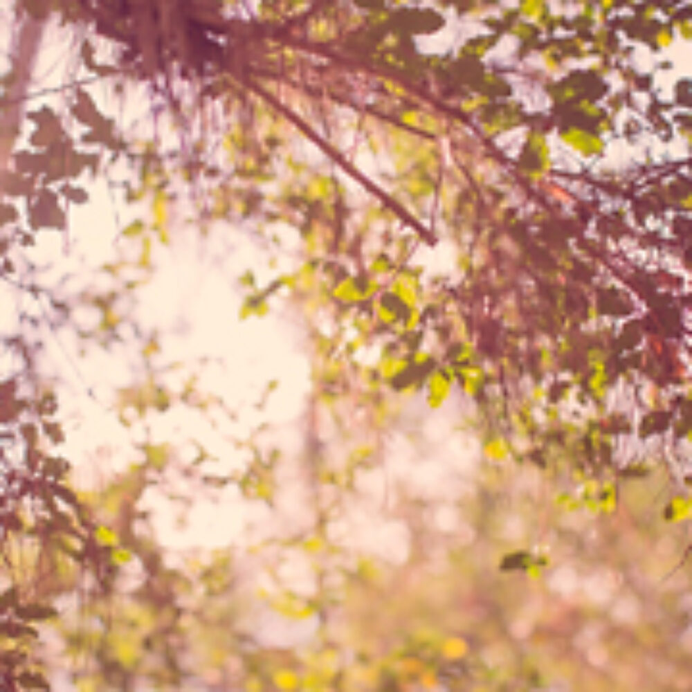 cypress-family-photography-featured