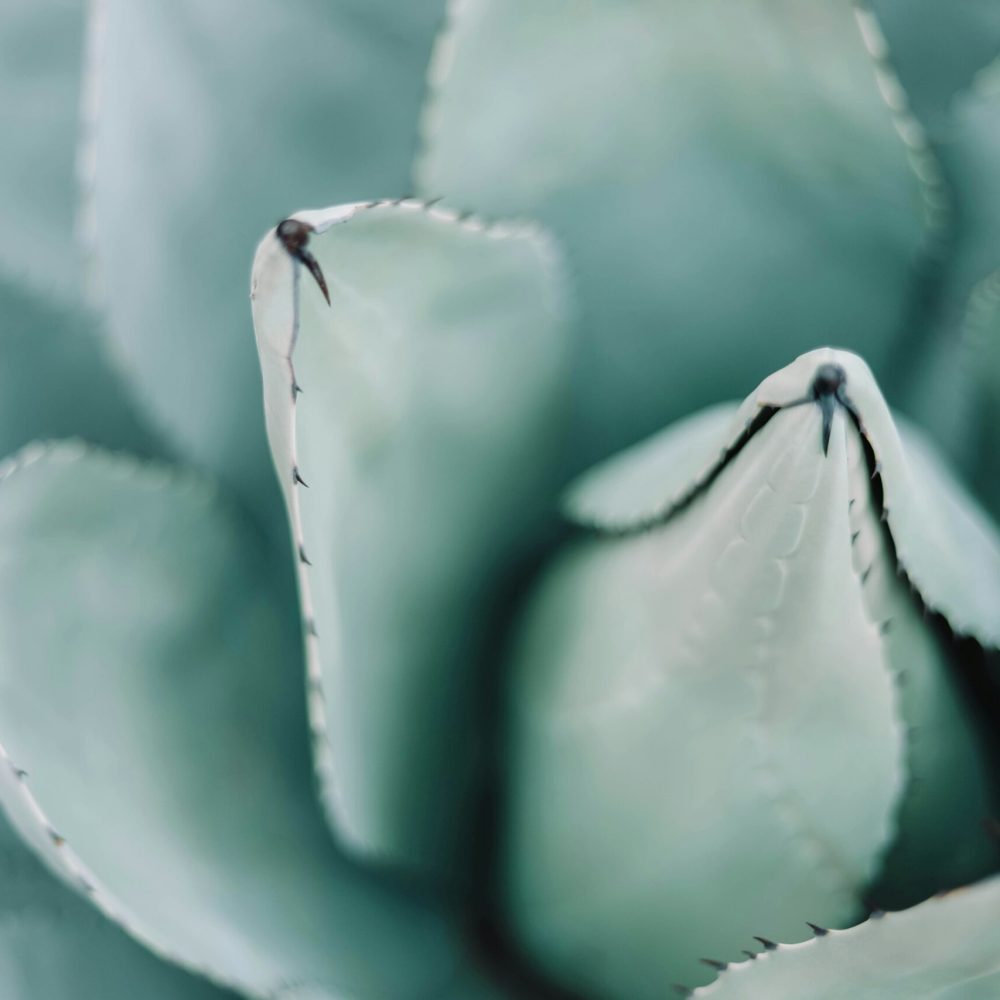 emily-dill-strock-3H13_z4Nk-k-unsplash