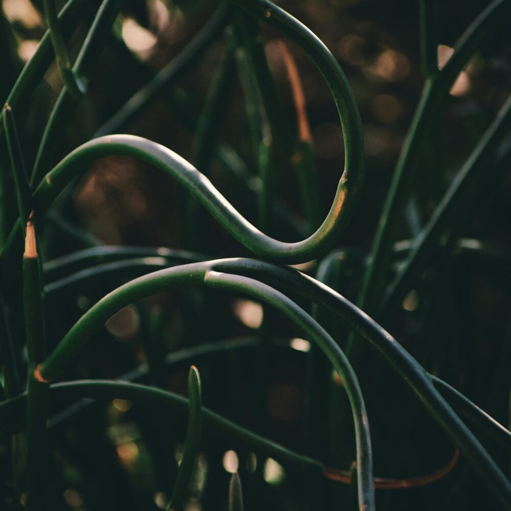 jonathan-marchant-TKBHjIN3p_w-unsplash