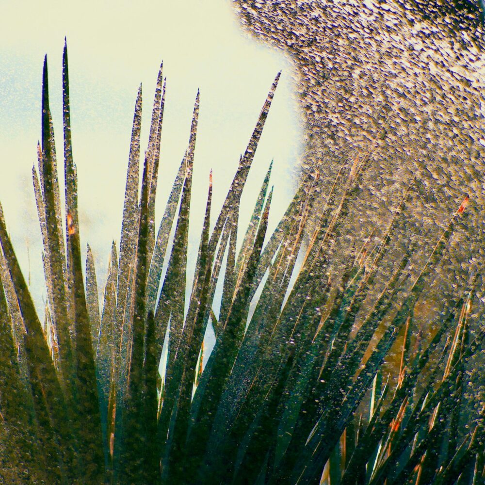 jonathan-marchant-eL8gyeRFYok-unsplash