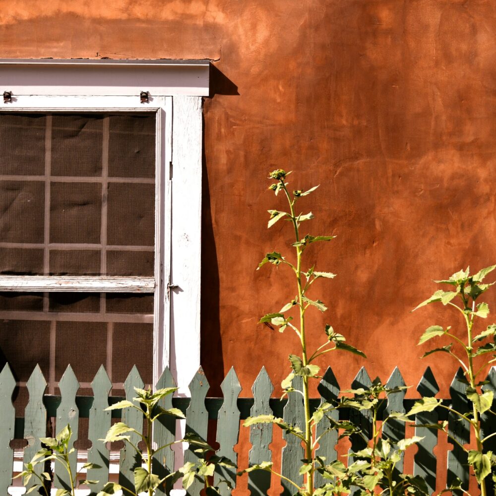 sean-quillen-dGF9BORMoTk-unsplash