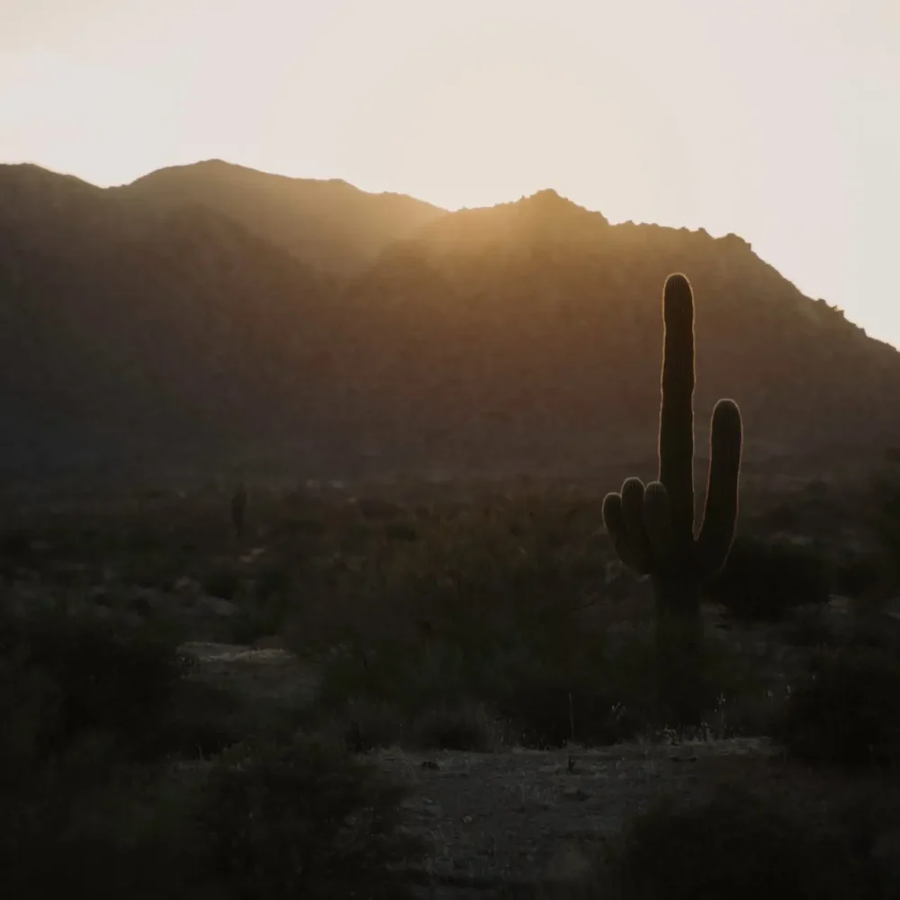 tara-evans-T7K9FO4fPQA-unsplash